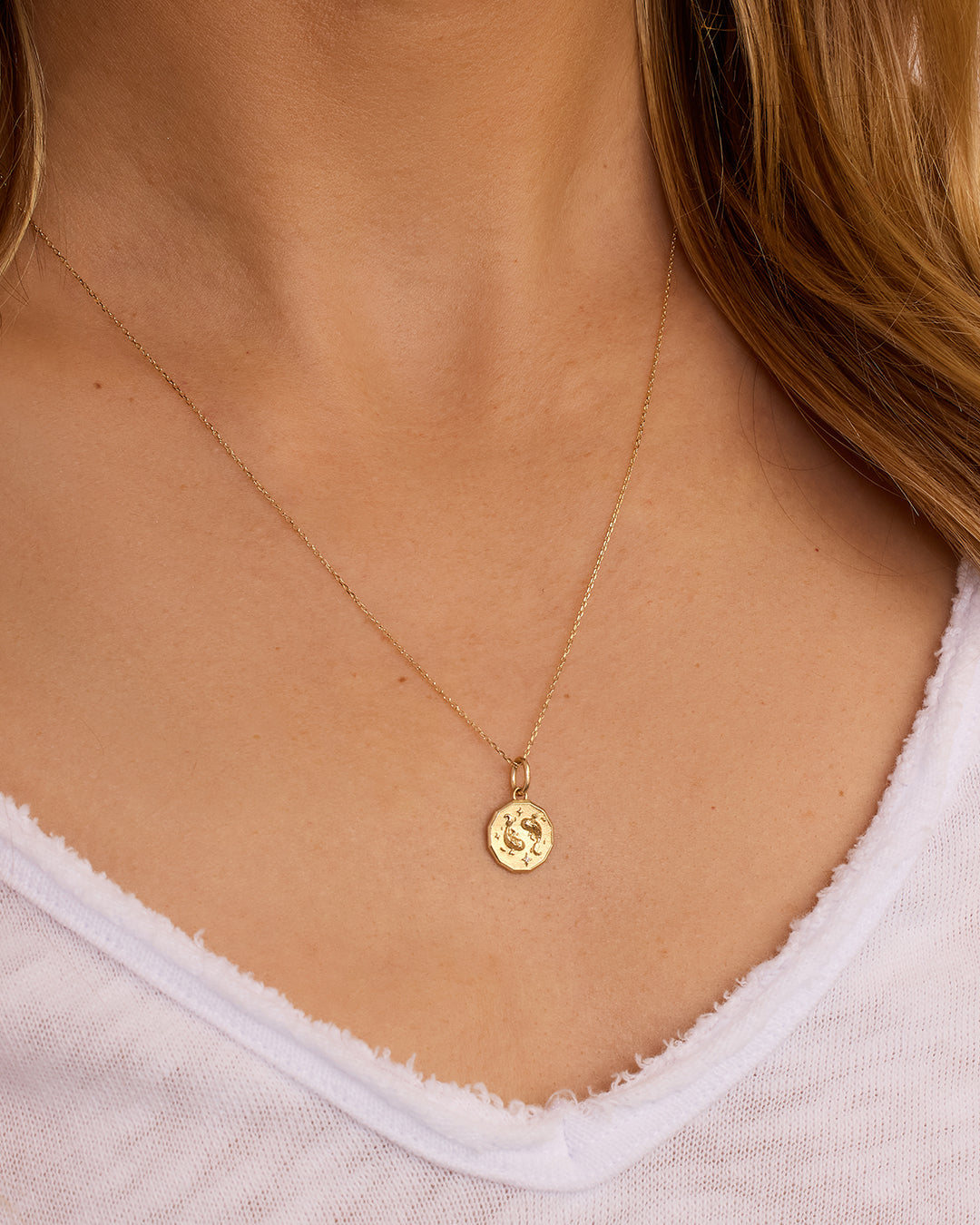 Diamond Zodiac Coin Charm || option::14K Solid Gold, Pisces